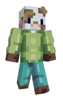 Front of Minecraft skin