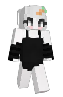 Front of 3gglame's skin