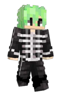 Front of Al1ium's skin