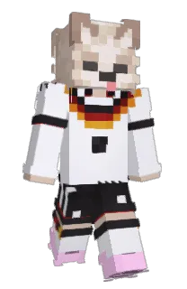 Front of AgenteBanyo's skin