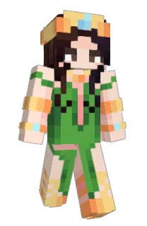 Front of FIDIPI's skin
