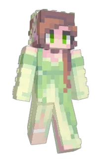okgameri's Minecraft skin