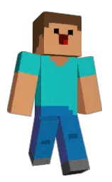 Nikorazu's Minecraft skin wearing the Migrator cape