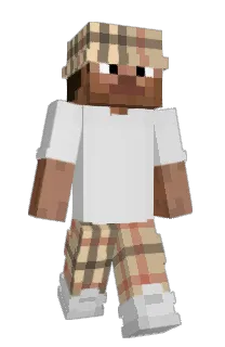 Front of Minecraft skin