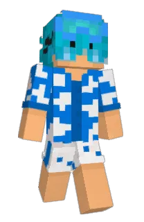 Front of Arktzk's skin