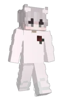 Front of emoneybag's skin