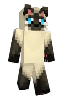 Ilro's Minecraft skin