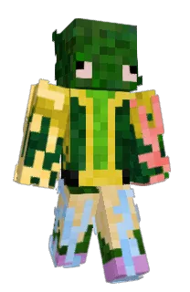 Front of K1m2's skin