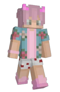 Front of Minecraft skin