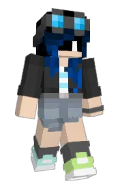 Skin preview