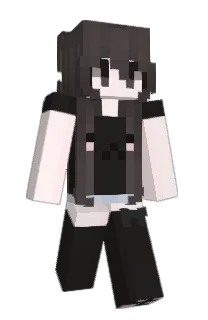Front of chk's skin