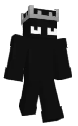 Banny12's Minecraft skin wearing the Migrator cape