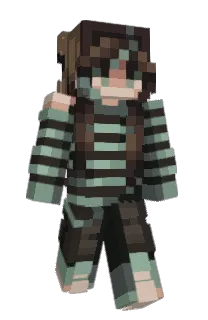Front of Trip_it's skin