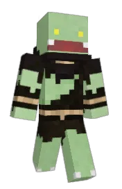 Skin preview