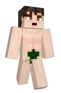 FleXer1's Minecraft skin