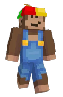 Front of lleeza's skin