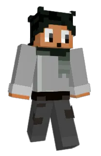 PSGR501's Minecraft skin