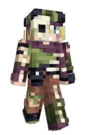Skin preview