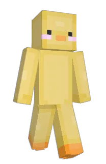 Front of Aizard's skin