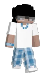 Slim Minecraft skin