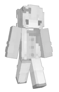 Front of bunicam's skin
