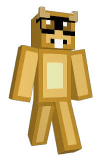 Front of Brunichurri's skin