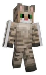 Classic Minecraft skin