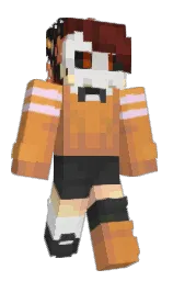 Minecraft skin — Classic model