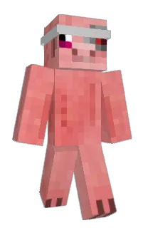 Front of Minecraft skin