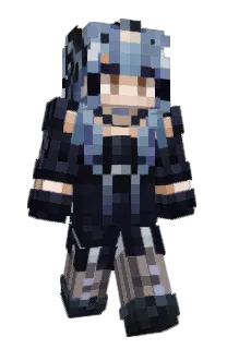 Front of F1iZ's skin