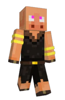 Front of DonkaraSt's skin