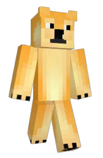 Front of Piedrita17's skin