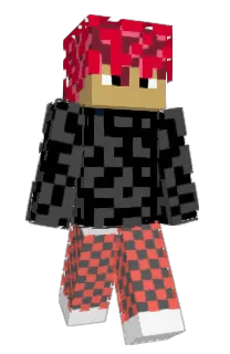 Front of Minecraft skin
