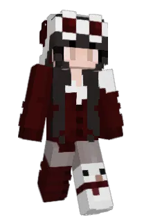 Front of PocketSage's skin