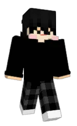 Classic Minecraft skin
