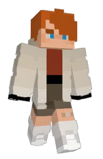Front of BeanBlocks's skin