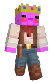 Front of Acolotlgames's skin