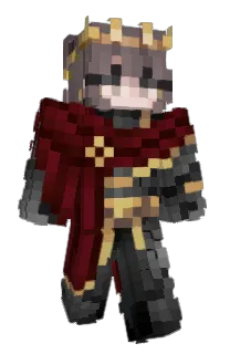 Front of sonicc_xx's skin