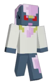 Skin preview