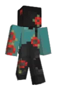 ___IX___