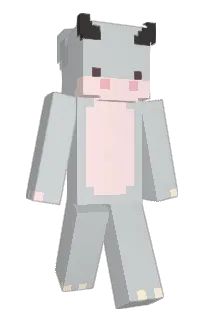 Front of talr's skin