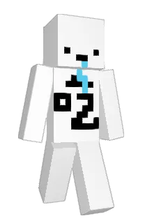 Front of Minecraft skin