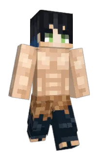 Front of Seideel's skin