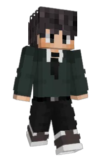 BrickyTurtle00's Minecraft skin