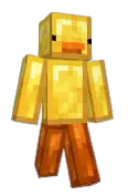 DR_ducky_duck