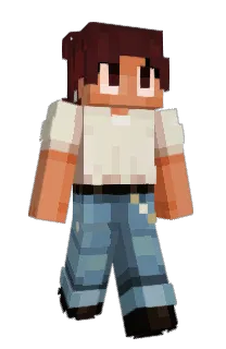 Front of ideac's skin