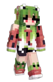 Skin preview