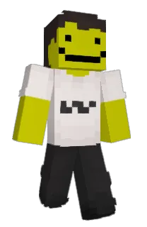 Front of Labno's skin