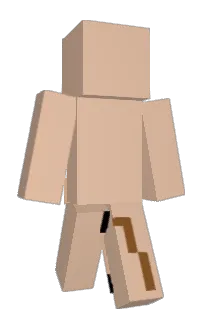Front of ModsName's skin