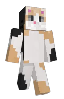 Front of lunathebigcat's skin